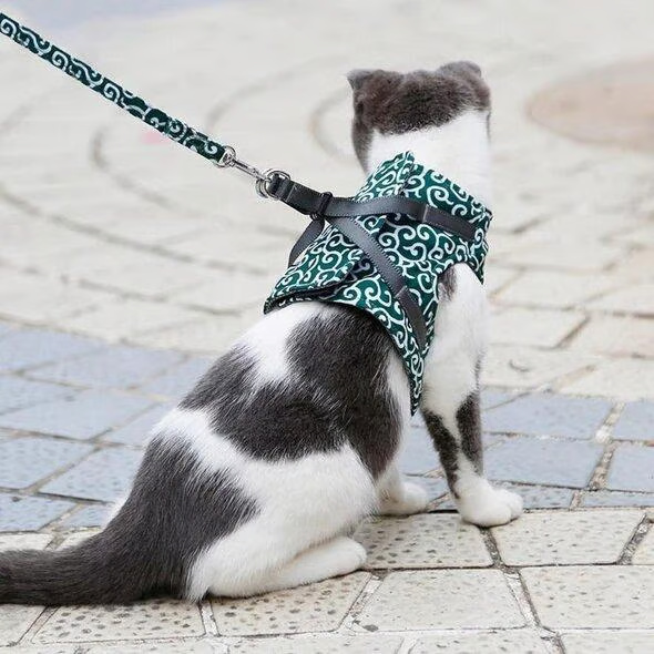Breathable Cat Harness Set