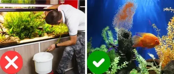 Aquariums Aqua-Guardian Blend - Image 18