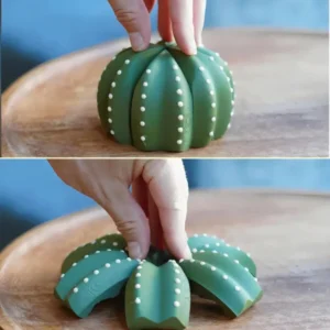 Funny 3D Printed Cactus Holder