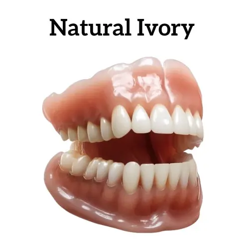 💝Premium Advanced Customized Full Denture Set 💝 (⏰Limited time discount last 30 minutes) - Image 11