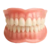 -Advanced Custom-Fit Functional Dentures