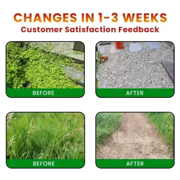 Cyclosinone Herbicide Granules - Image 10