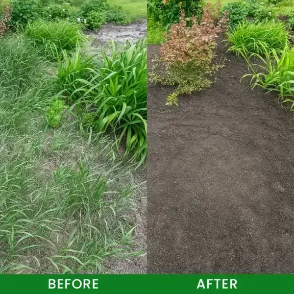 Cyclosinone Herbicide Granules - Image 12