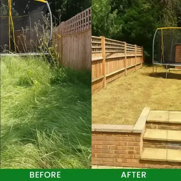 Cyclosinone Herbicide Granules - Image 13