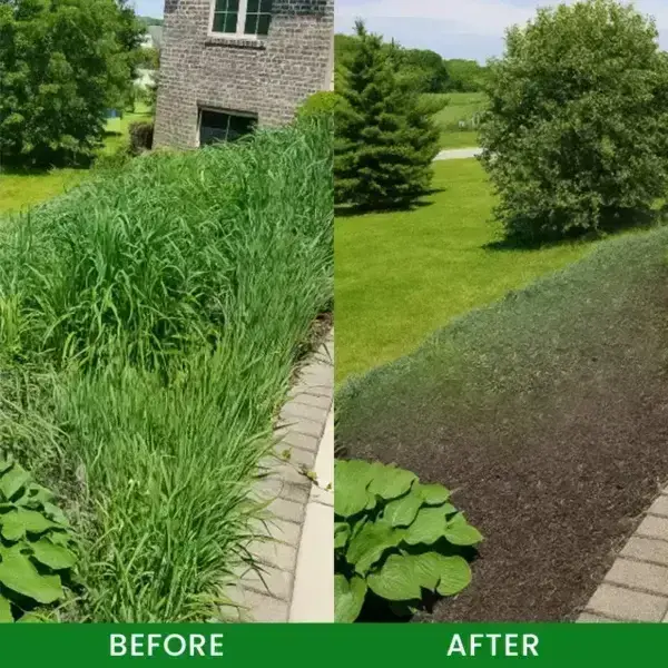 Cyclosinone Herbicide Granules - Image 14