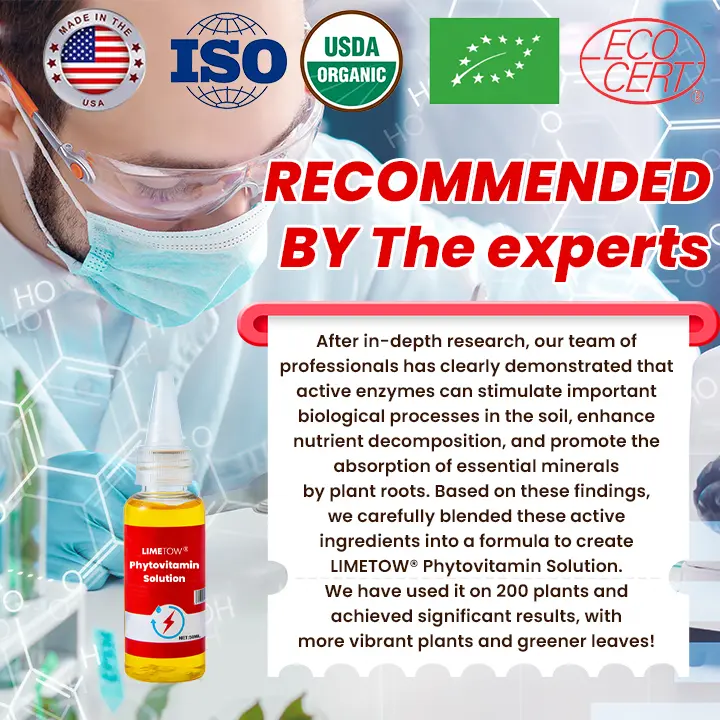 Plant Vitality Elixir - Image 13