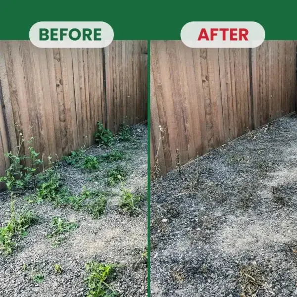 Weed Destruction Powder - Image 17