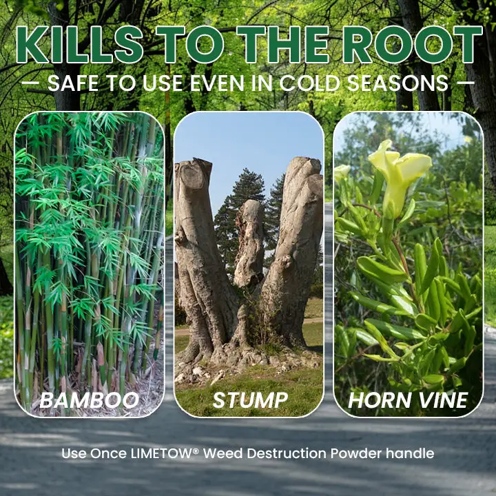Weed Destruction Powder – Deep Penetrating Root Killer - Image 13