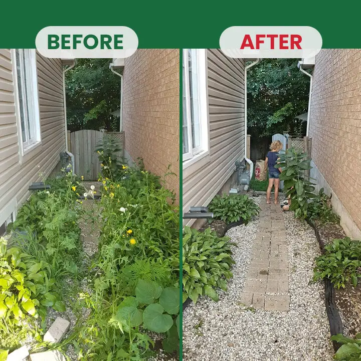 Weed Destruction Powder – Deep Penetrating Root Killer - Image 16