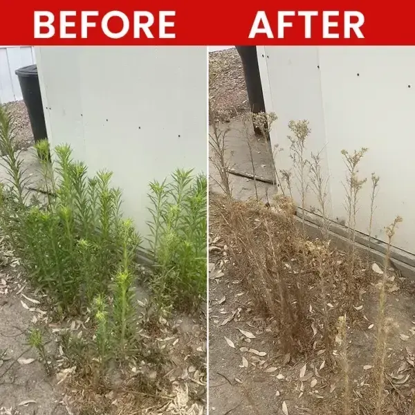 Weed Killer Spray - Image 12