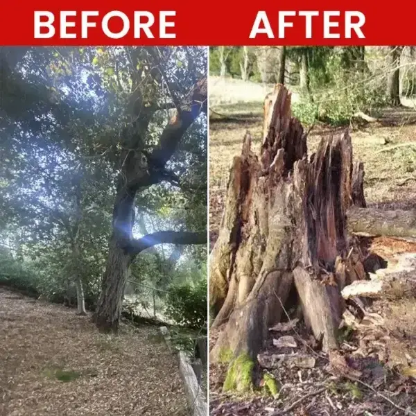 Weed Killer Spray - Image 13