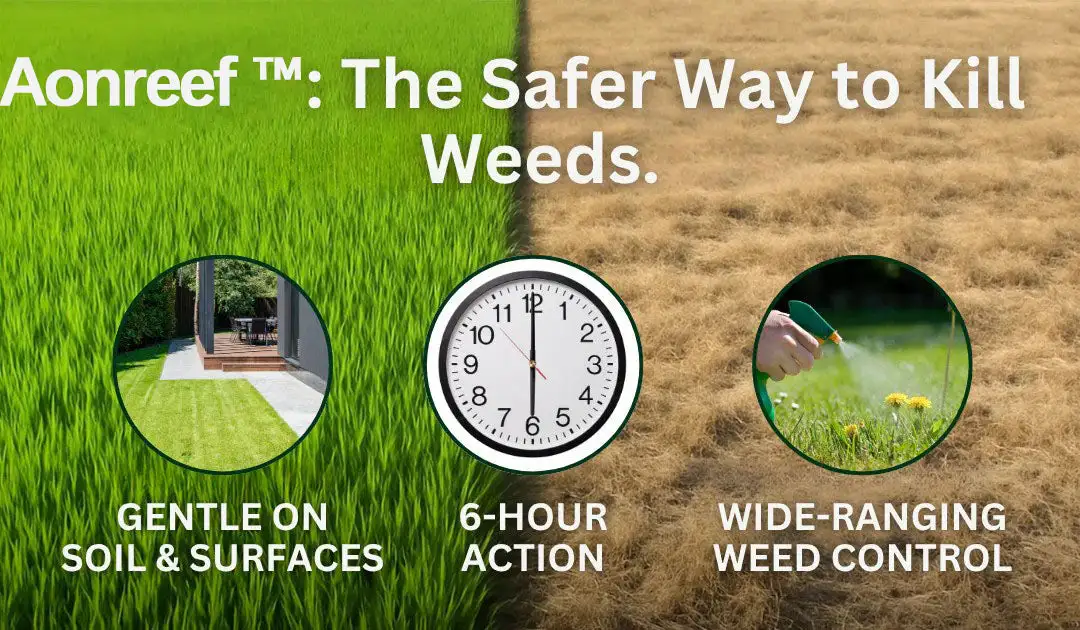 Power Herbicide - Image 11