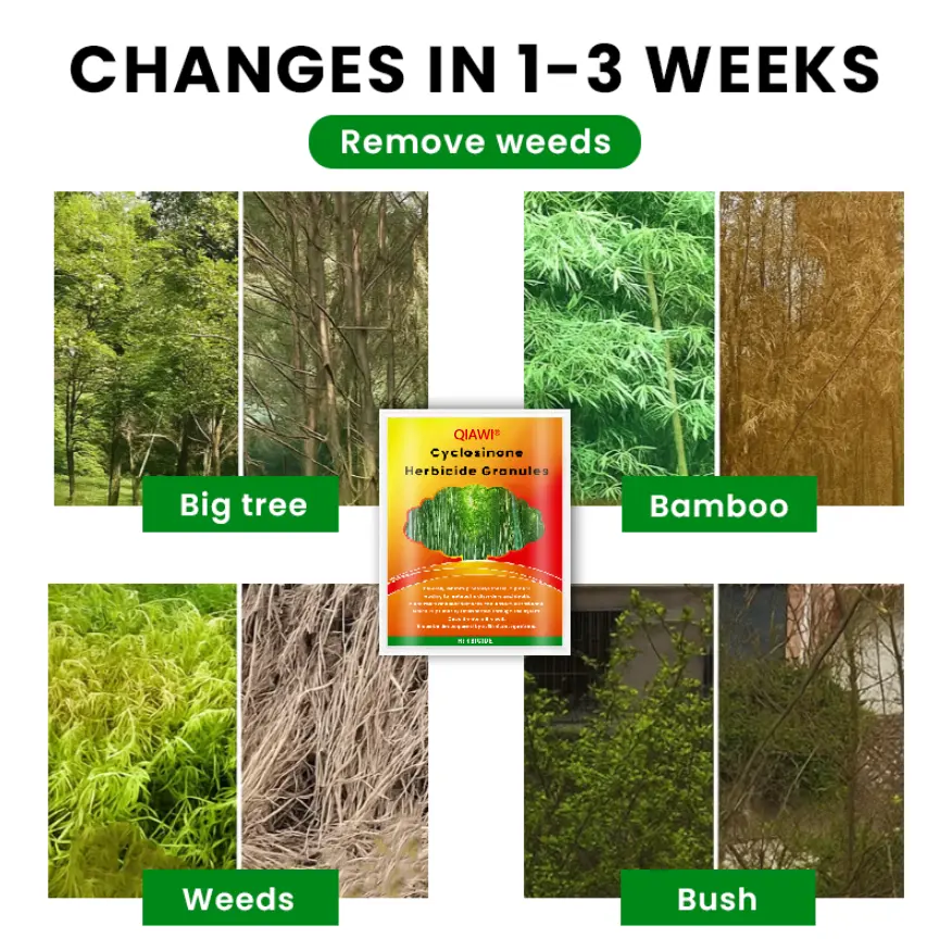 Cyclosinone Herbicide Granules - Image 7