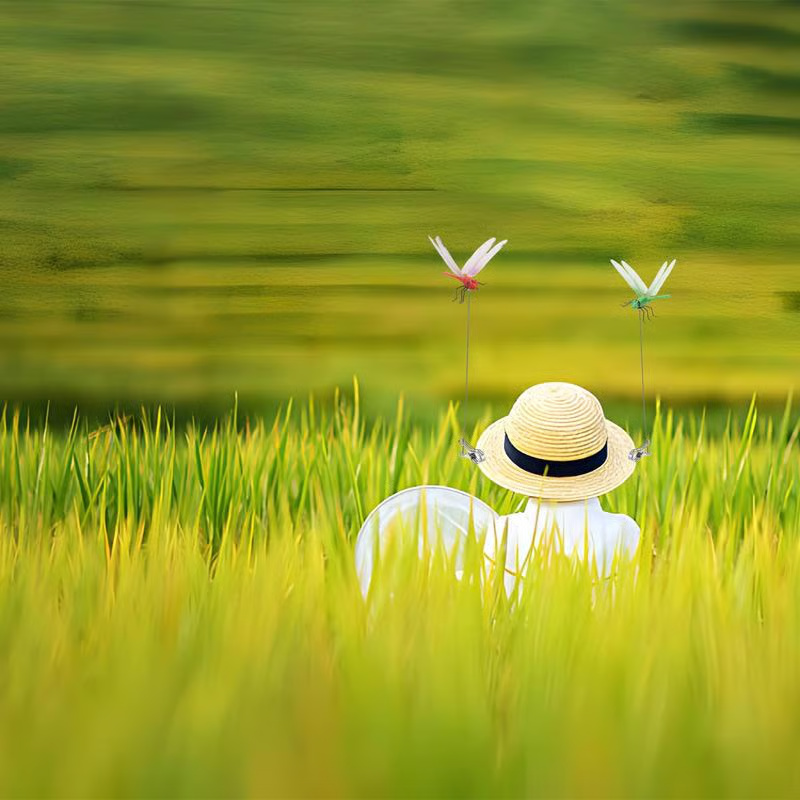 Weather-Resistant Insect Clip - Image 5