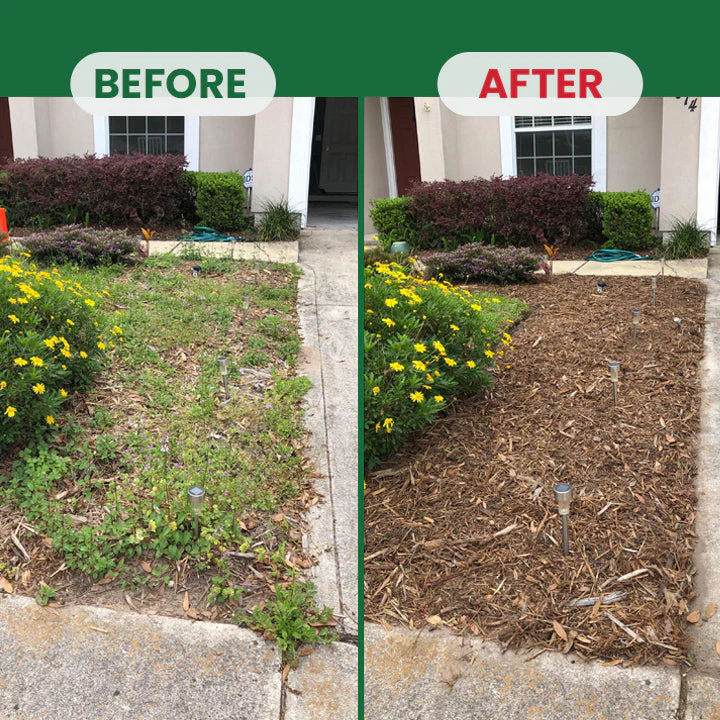 Weed Destruction Powder - Image 17