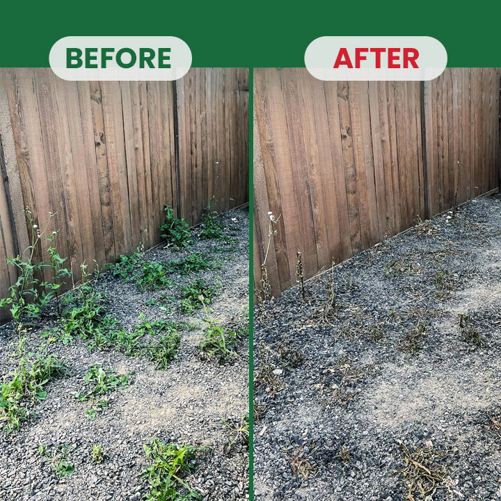 Weed Destruction Powder - Image 14