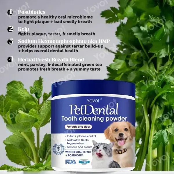 Pet Dental Powder - Image 7