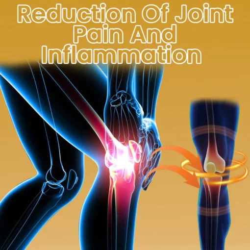 Joint & Bone Care Cream - Image 7