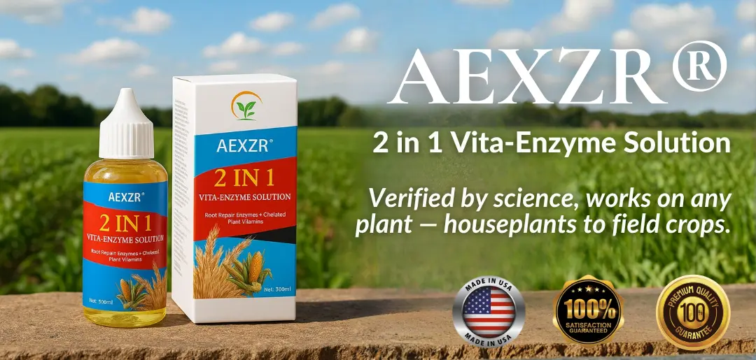 2 in 1 Vita-Enzyme Solution - Image 17