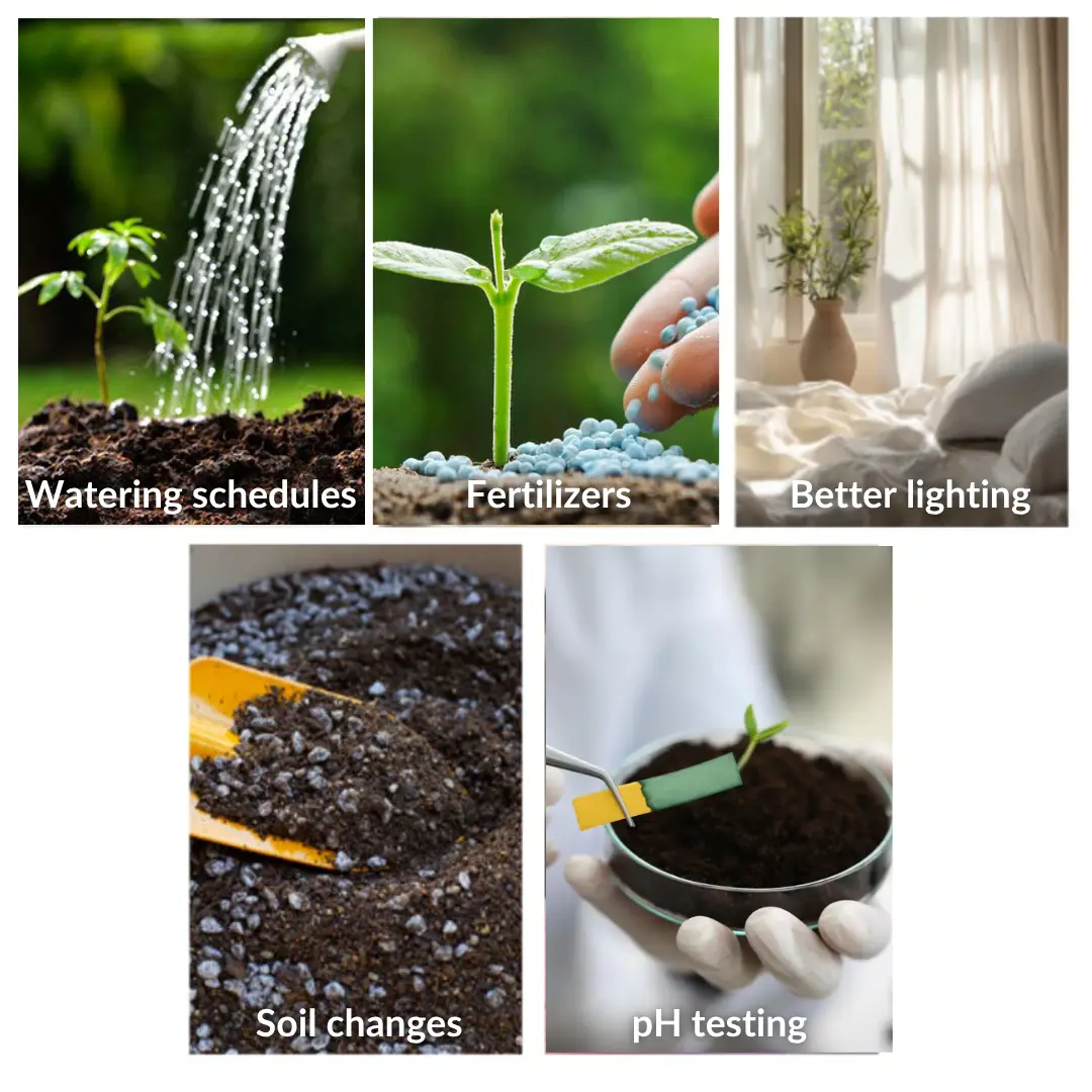 2 in 1 Vita-Enzyme Solution - Image 15