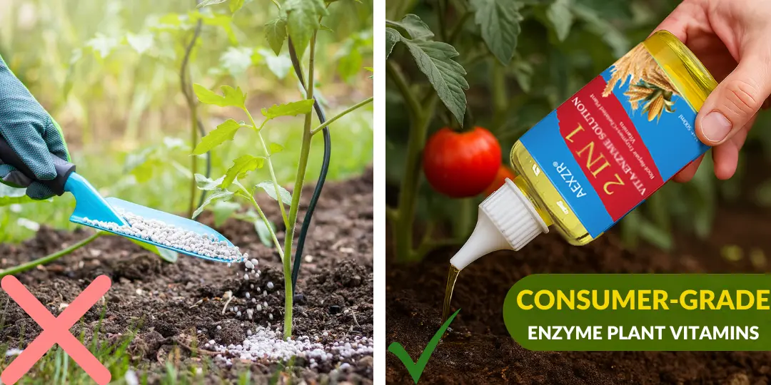 2 in 1 Vita-Enzyme Solution - Image 6