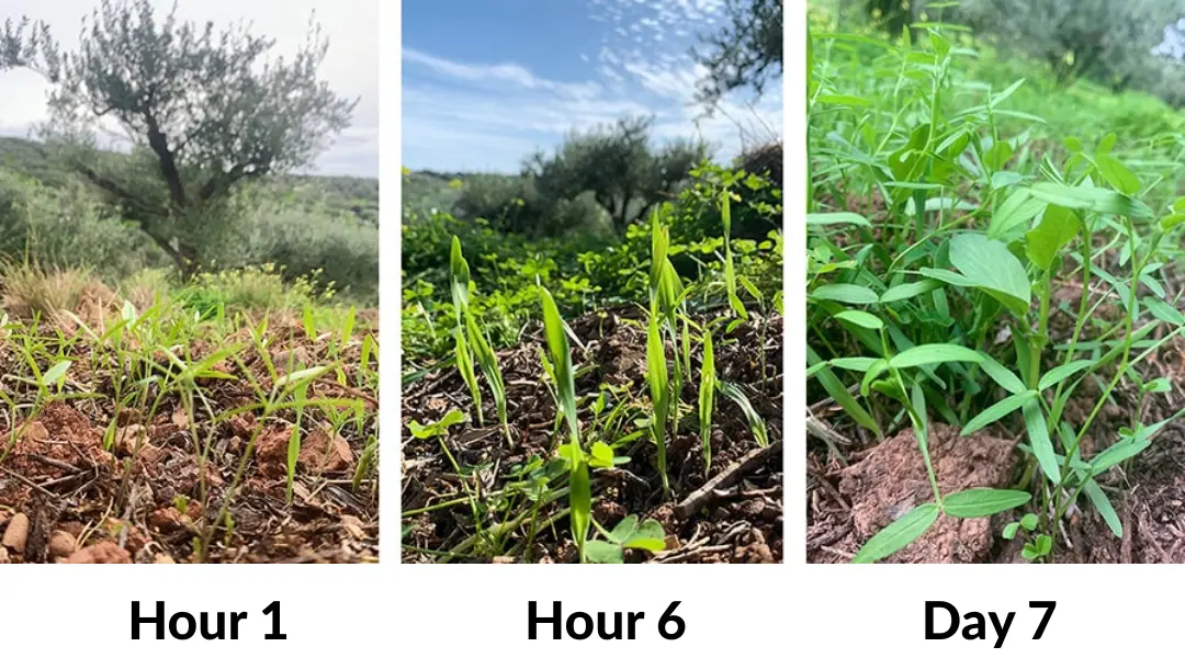 2 in 1 Vita-Enzyme Solution - Image 13