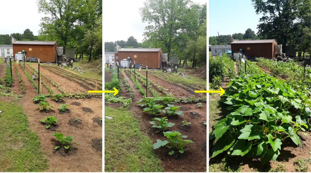 2 in 1 Vita-Enzyme Solution - Image 8