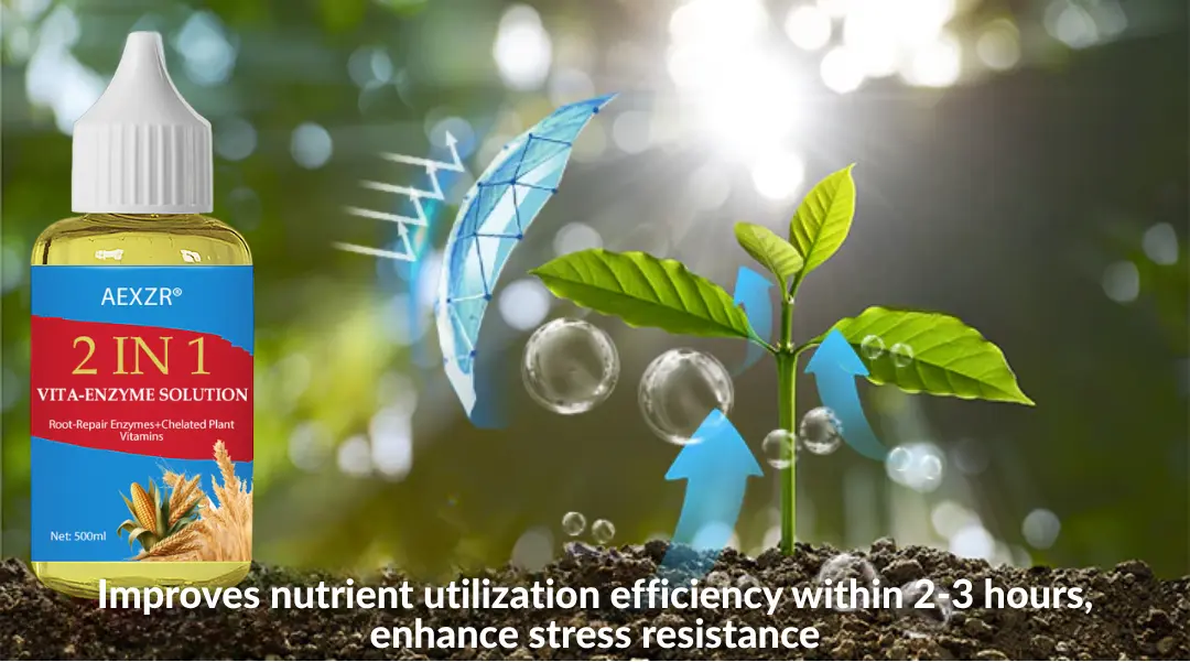 2 in 1 Vita-Enzyme Solution - Image 7