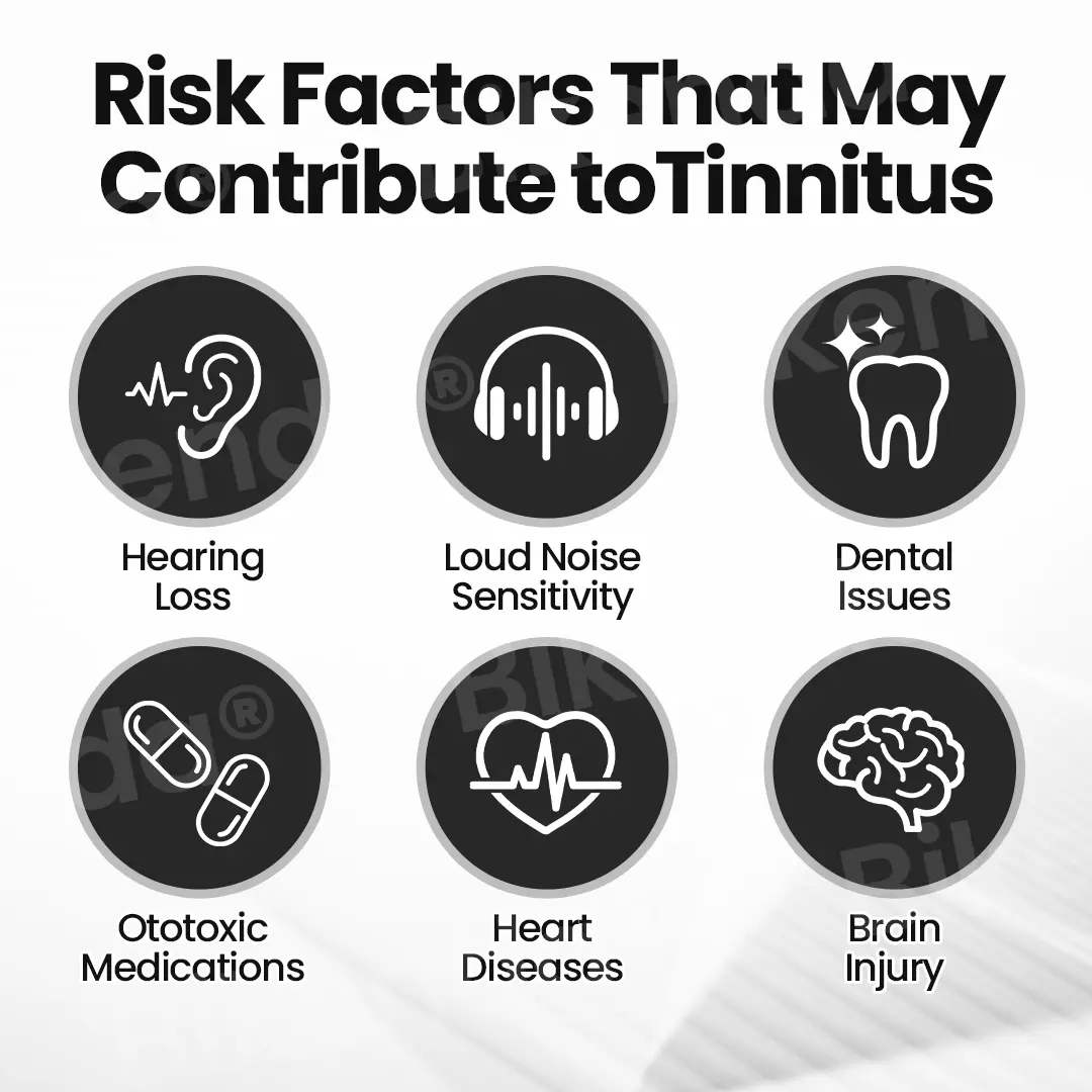 Silence Pro - Image 4