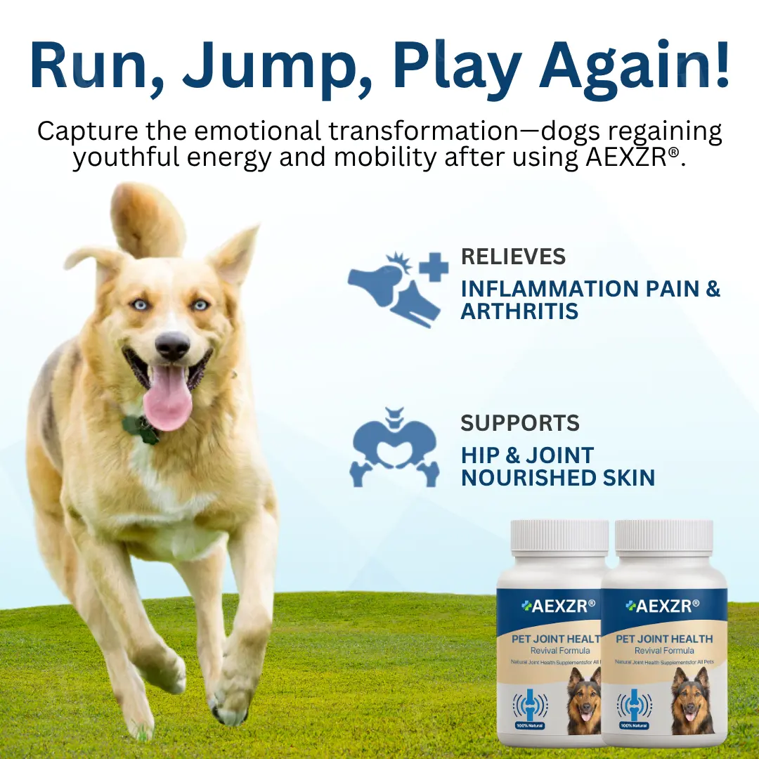 Pet Joint Health Revival Formula - Image 4