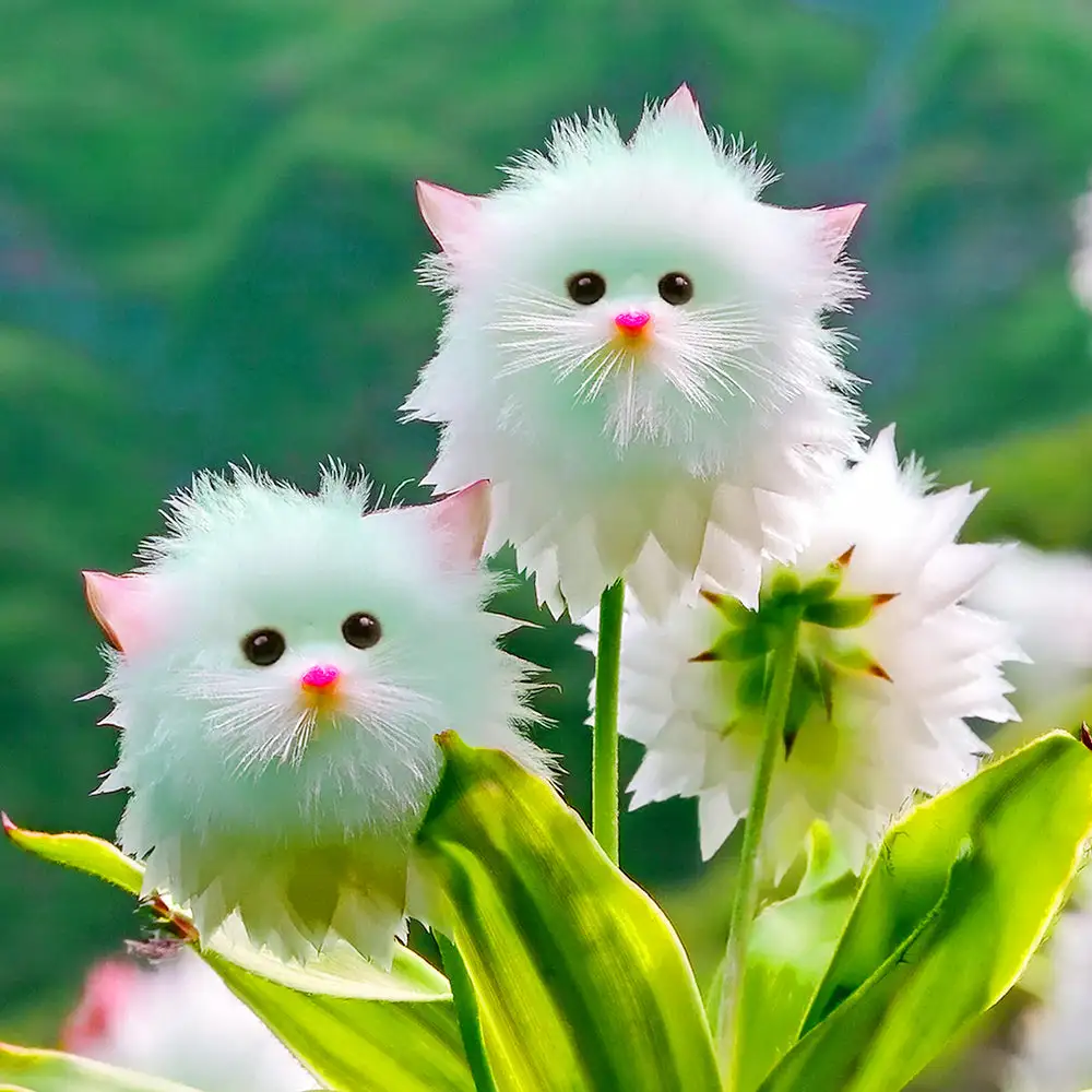 Dazzle Blossom Seeds - Image 6