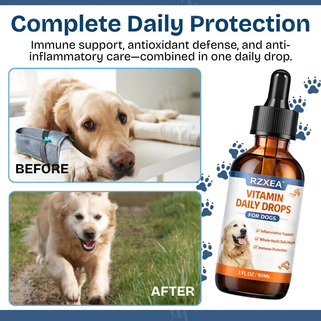 Vitamin Daily Drops - Image 2