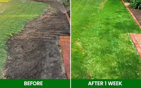 Compostable Lawn Grow Mat - Image 5