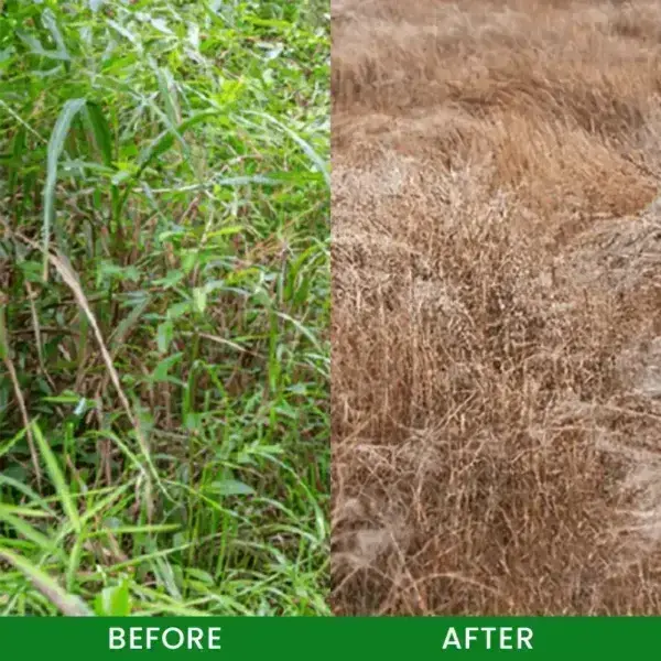 Cyclosinone Herbicide Granules - Image 11