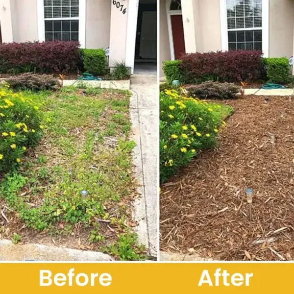 Glufosinate Ammonium Salt Herbicide Agent - Image 12