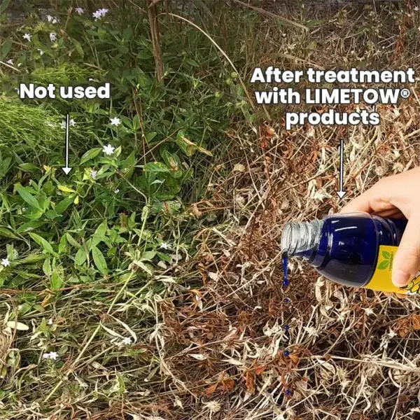 Glufosinate Ammonium Salt Herbicide Agent - Image 7