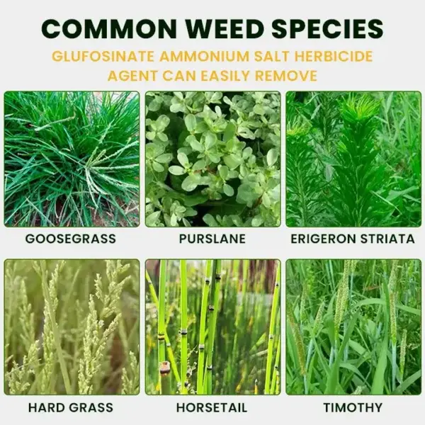 Glufosinate Ammonium Salt Herbicide Agent - Image 9