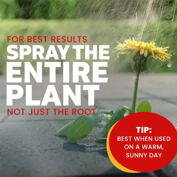 Weed Killer Spray - Image 7