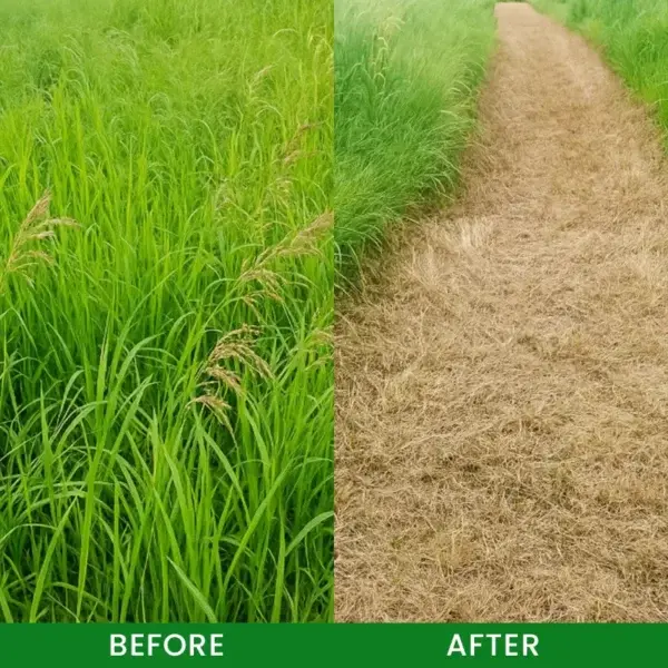 Weed Remover - Image 11