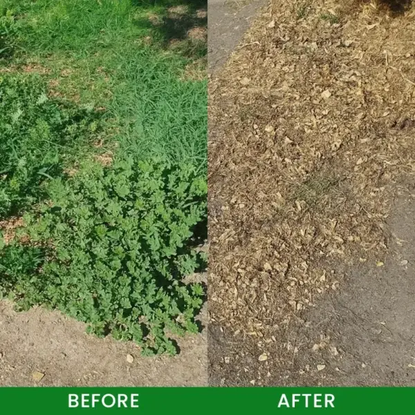 Weed Remover - Image 9