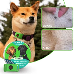 12‑Month Natural Flea & Tick Protection Pendant