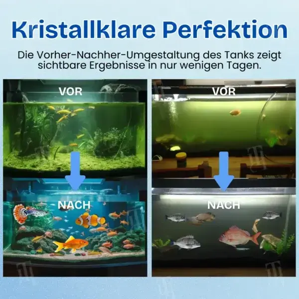 đ Offizieller Shop | Aquarien Aqua-Guardian Mischung - Image 6