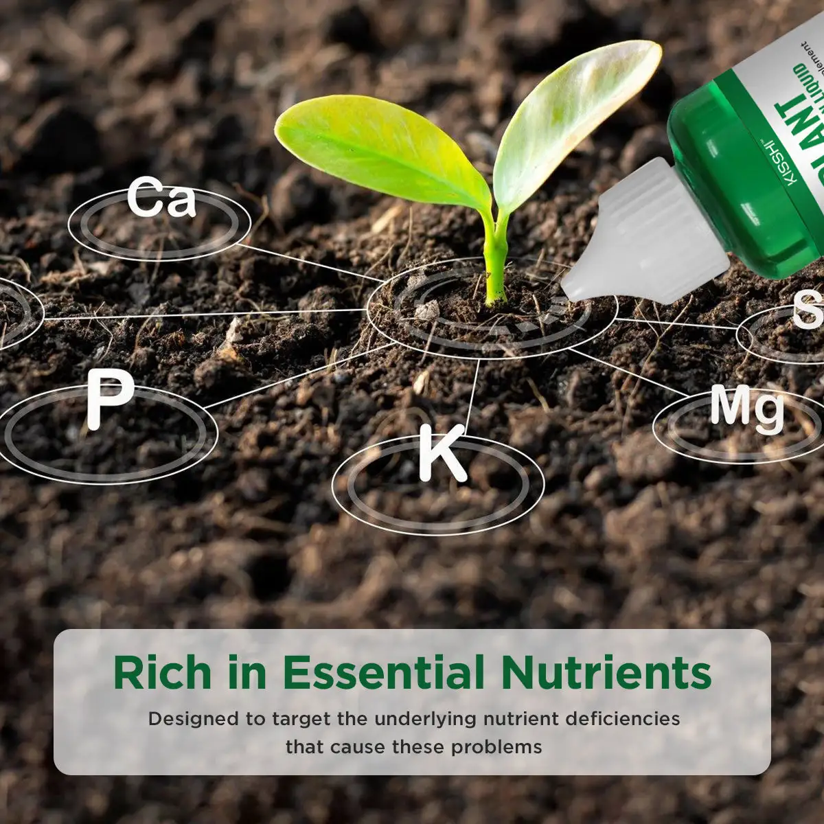 Plant Resurrection Liquid - Image 4