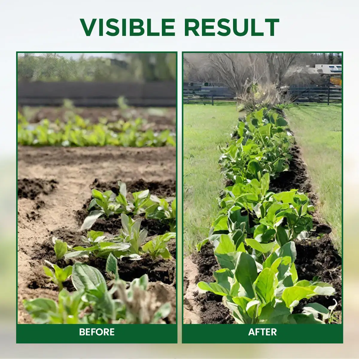 Plant Resurrection Liquid - Image 6