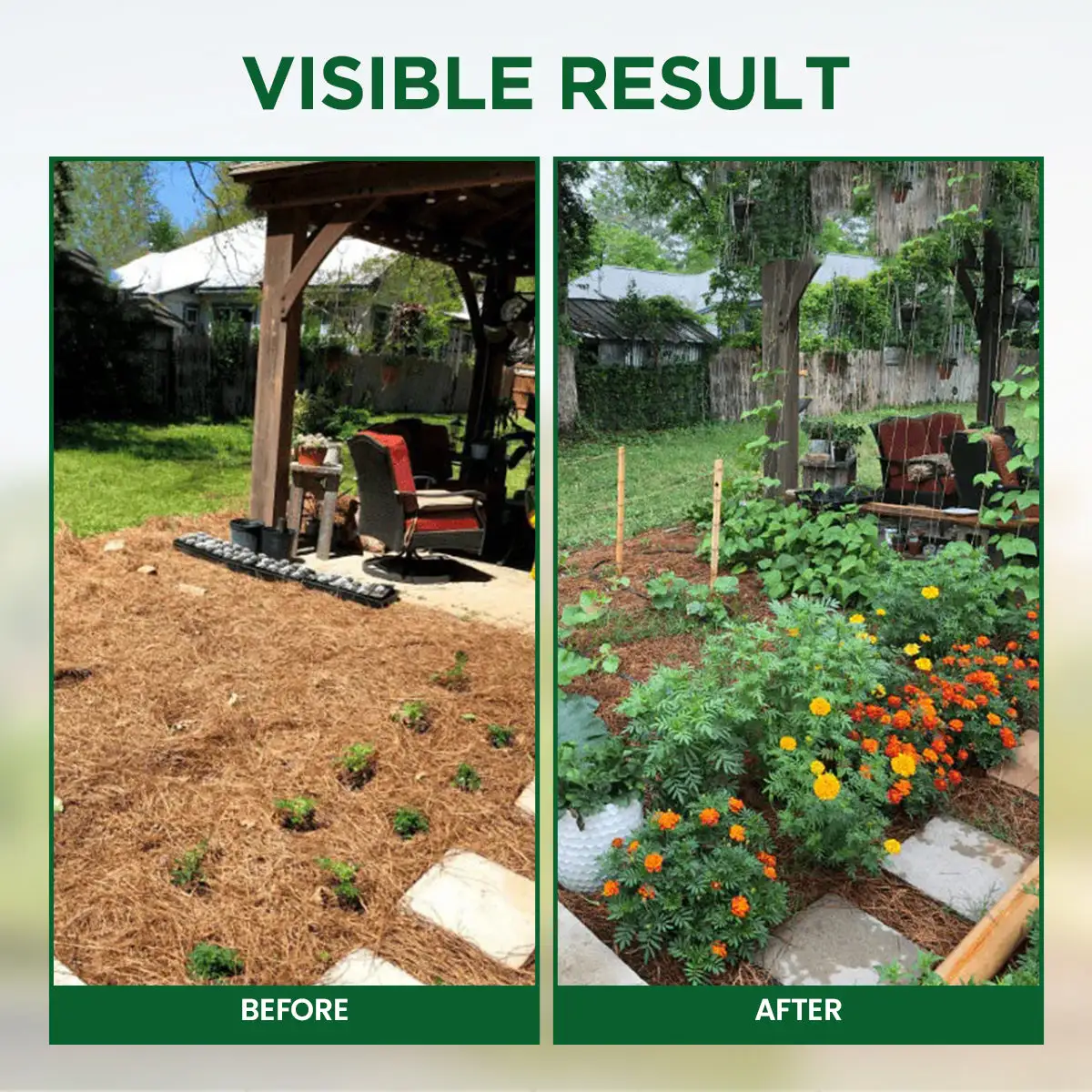 Plant Resurrection Liquid - Image 8