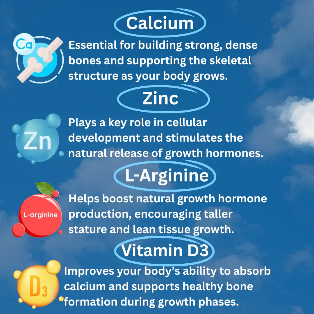 Vita Path Heightener Gummies - Image 3