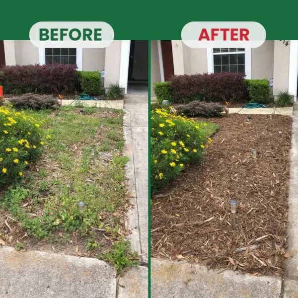 Weed Destruction Powder - Image 18