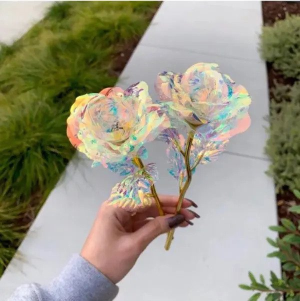 Galaxy Everlasting Rose - Image 4