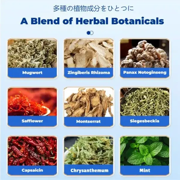 Back Pain Patch Natural Pain Relief Patches - Image 14