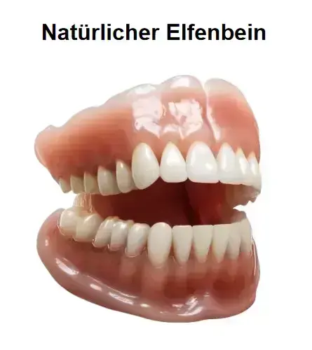 – Premium-Zahnprothese